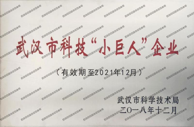 武汉市科技“小巨人”企业